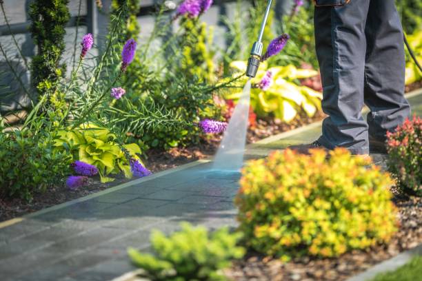 Best Gutter Cleaning and Brightening in Flower Mound, TX
